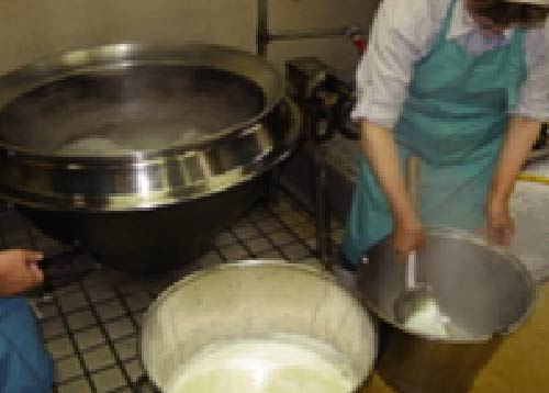 その他の体験メニュー