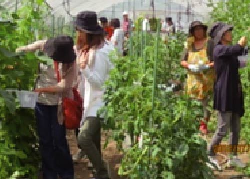 その他の体験メニュー